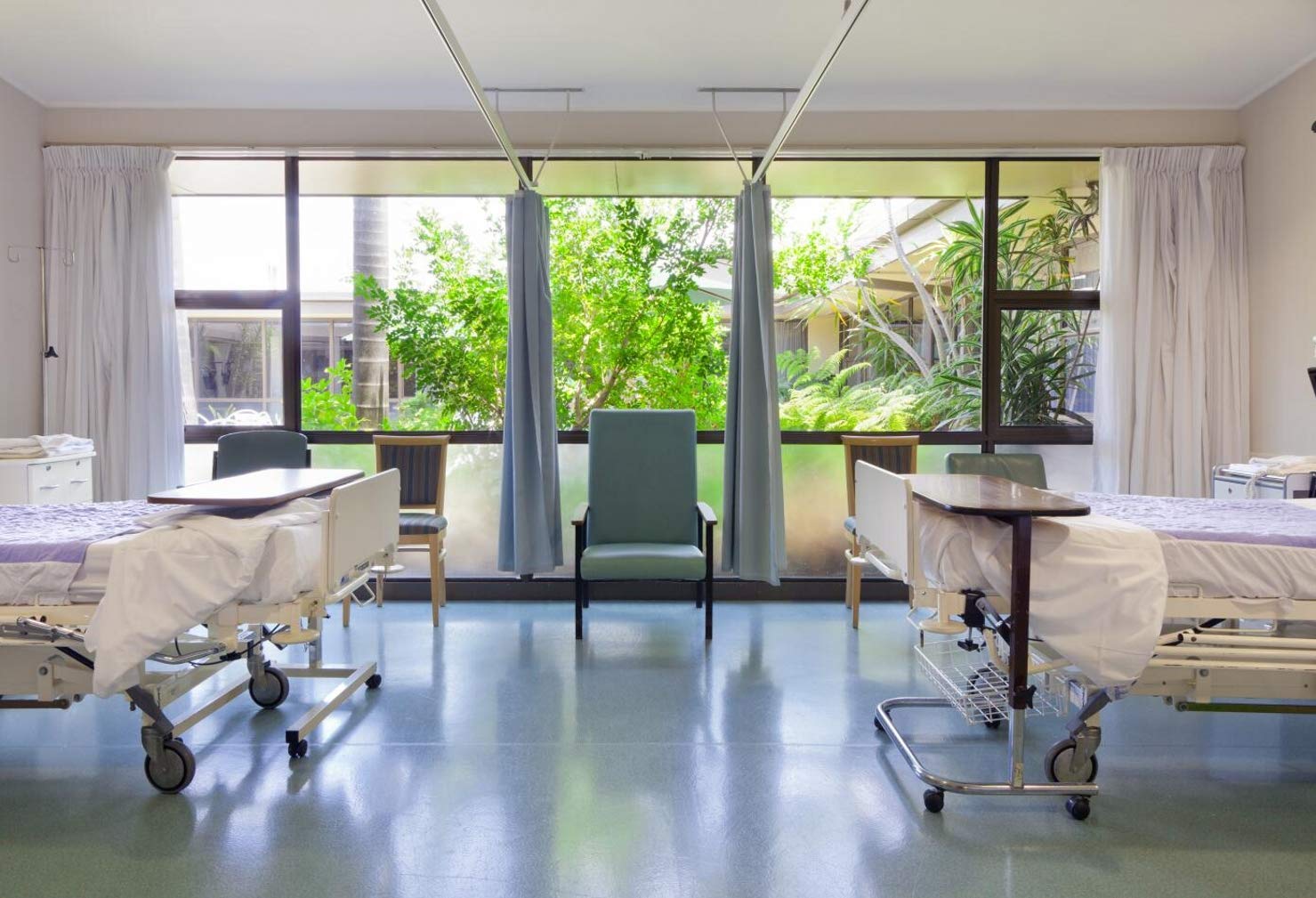 Emphasis on Biophilic Interior Design
